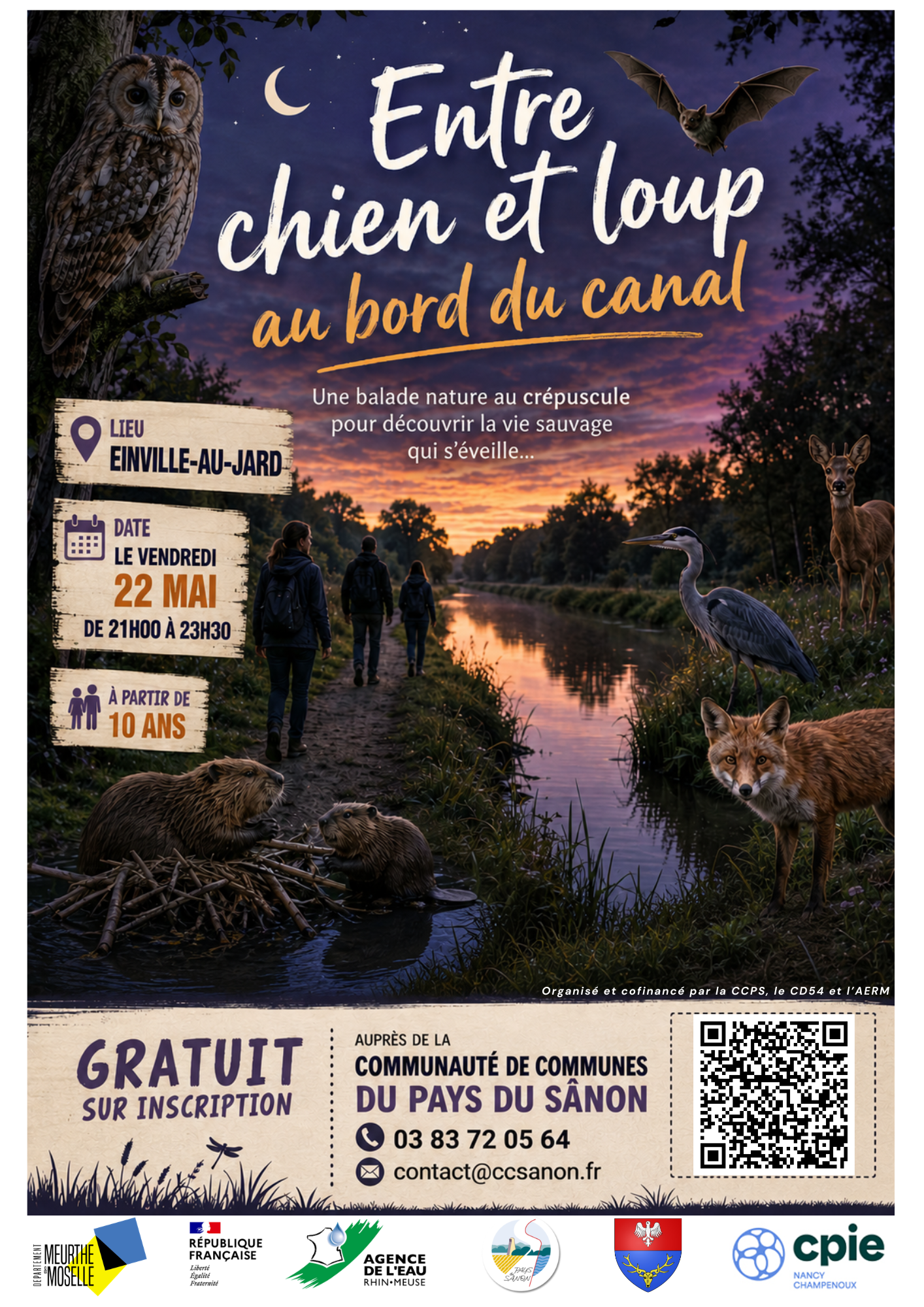 Affiche sortie nocturne